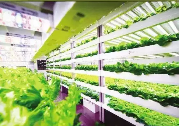 南京諾爾迅亮化，照明亮化工程