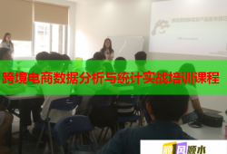 跨境電商數(shù)據(jù)分析與統(tǒng)計(jì)實(shí)戰(zhàn)培訓(xùn)課程