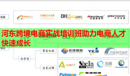 河?xùn)|跨境電商實(shí)戰(zhàn)培訓(xùn)班助力電商人才快速成長(zhǎng)