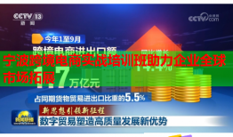 寧波跨境電商實(shí)戰(zhàn)培訓(xùn)班助力企業(yè)全球市場(chǎng)拓展