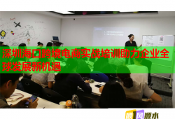 深圳海口跨境電商實戰(zhàn)培訓(xùn)助力企業(yè)全球發(fā)展新機(jī)遇