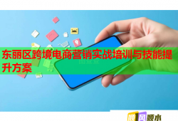 東麗區(qū)跨境電商營銷實戰(zhàn)培訓與技能提升方案