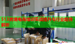 513跨境電商培訓(xùn)實戰(zhàn)提升與行業(yè)趨勢解析