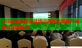 CSS跨境電商實(shí)戰(zhàn)培訓(xùn)課程全面提升運(yùn)營與營銷能力