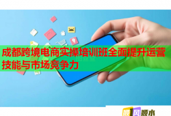 成都跨境電商實(shí)操培訓(xùn)班全面提升運(yùn)營技能與市場競爭力