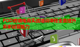 POD跨境電商實戰(zhàn)培訓(xùn)課程全面提升賣家運營能力