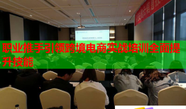 職業(yè)推手引領(lǐng)跨境電商實(shí)戰(zhàn)培訓(xùn)全面提升技能