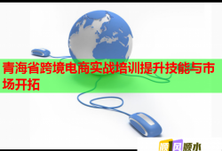 青海省跨境電商實(shí)戰(zhàn)培訓(xùn)提升技能與市場開拓
