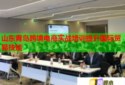 山東青島跨境電商實戰(zhàn)培訓(xùn)提升國際貿(mào)易技能