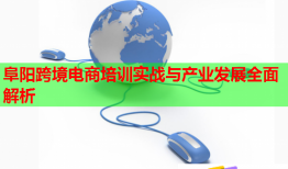 阜陽跨境電商培訓(xùn)實(shí)戰(zhàn)與產(chǎn)業(yè)發(fā)展全面解析