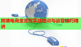 跨境電商全流程實(shí)戰(zhàn)培訓(xùn)與運(yùn)營(yíng)技巧精講