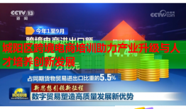 城陽(yáng)區(qū)跨境電商培訓(xùn)助力產(chǎn)業(yè)升級(jí)與人才培養(yǎng)創(chuàng)新發(fā)展
