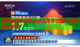 跨境電商賣(mài)家實(shí)戰(zhàn)培訓(xùn)全方位提升運(yùn)營(yíng)能力課程