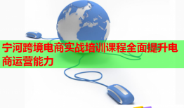 寧河跨境電商實戰(zhàn)培訓(xùn)課程全面提升電商運營能力