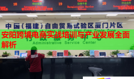 安陽跨境電商實(shí)戰(zhàn)培訓(xùn)與產(chǎn)業(yè)發(fā)展全面解析