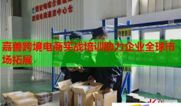 嘉善跨境電商實(shí)戰(zhàn)培訓(xùn)助力企業(yè)全球市場(chǎng)拓展
