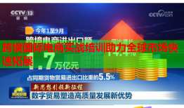 跨境國際電商實(shí)戰(zhàn)培訓(xùn)助力全球市場快速拓展