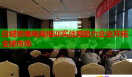 白城跨境電商培訓(xùn)實(shí)戰(zhàn)班助力企業(yè)開拓全球市場(chǎng)