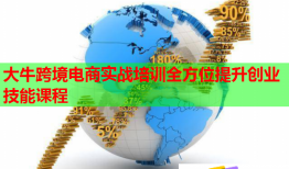 大牛跨境電商實(shí)戰(zhàn)培訓(xùn)全方位提升創(chuàng)業(yè)技能課程