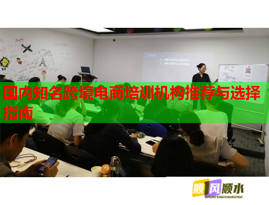 國內(nèi)知名跨境電商培訓(xùn)機(jī)構(gòu)推薦與選擇指南