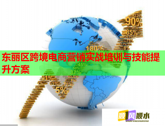 東麗區(qū)跨境電商營銷實戰(zhàn)培訓與技能提升方案
