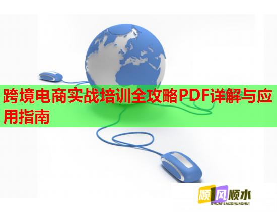 跨境電商實(shí)戰(zhàn)培訓(xùn)全攻略PDF詳解與應(yīng)用指南