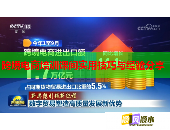 跨境電商培訓(xùn)課間實(shí)用技巧與經(jīng)驗(yàn)分享