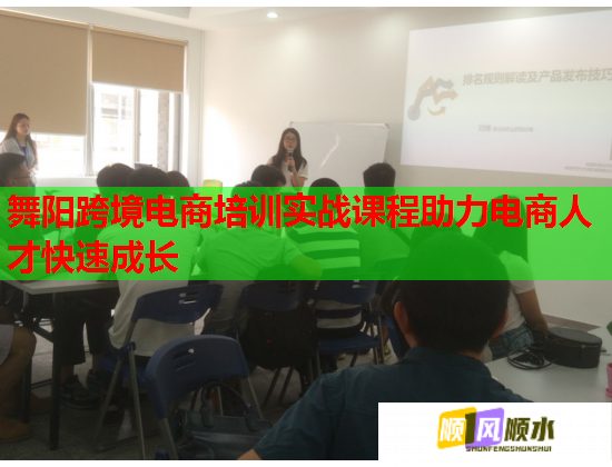 舞陽(yáng)跨境電商培訓(xùn)實(shí)戰(zhàn)課程助力電商人才快速成長(zhǎng)