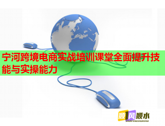 寧河跨境電商實(shí)戰(zhàn)培訓(xùn)課堂全面提升技能與實(shí)操能力