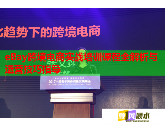 eBay跨境電商實戰(zhàn)培訓課程全解析與運營技巧指導