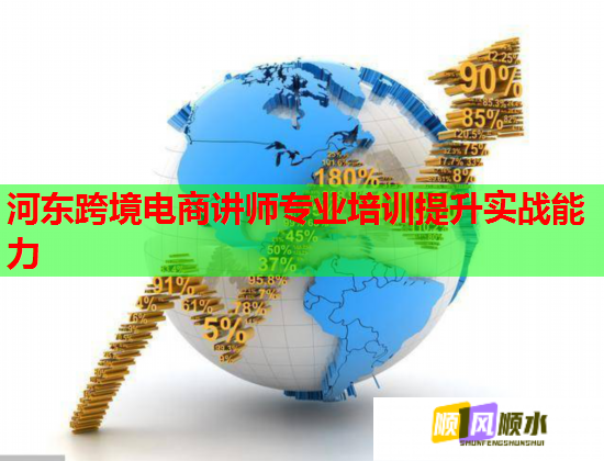 河?xùn)|跨境電商講師專(zhuān)業(yè)培訓(xùn)提升實(shí)戰(zhàn)能力