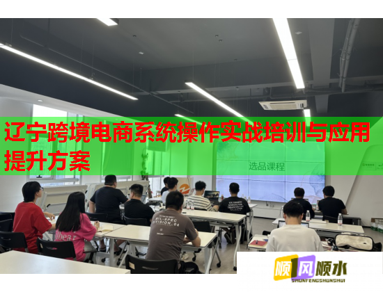 遼寧跨境電商系統(tǒng)操作實戰(zhàn)培訓與應用提升方案