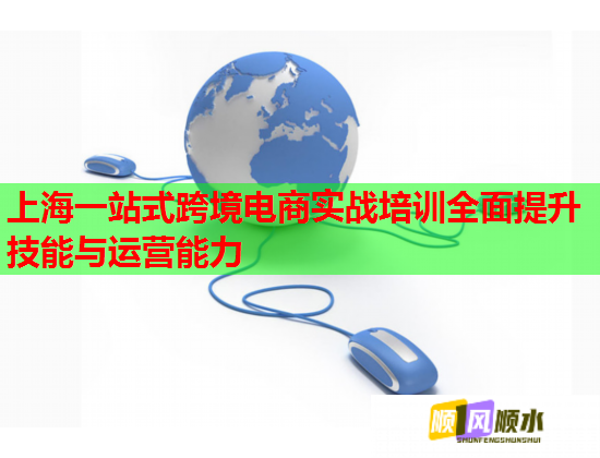 上海一站式跨境電商實(shí)戰(zhàn)培訓(xùn)全面提升技能與運(yùn)營能力