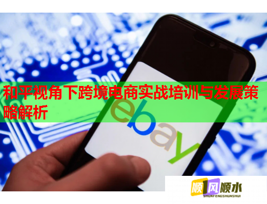 和平視角下跨境電商實戰(zhàn)培訓(xùn)與發(fā)展策略解析