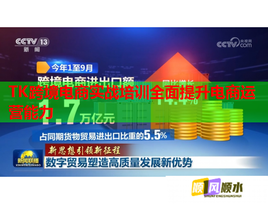 TK跨境電商實(shí)戰(zhàn)培訓(xùn)全面提升電商運(yùn)營能力