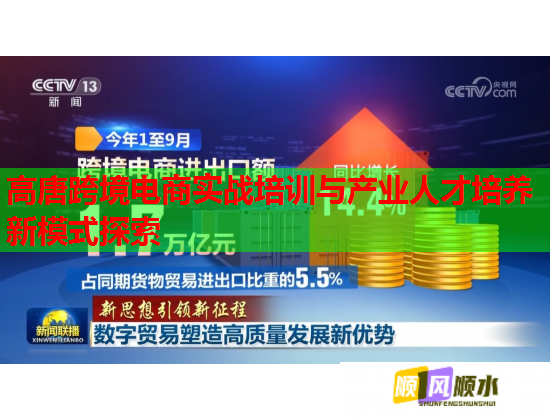 高唐跨境電商實(shí)戰(zhàn)培訓(xùn)與產(chǎn)業(yè)人才培養(yǎng)新模式探索