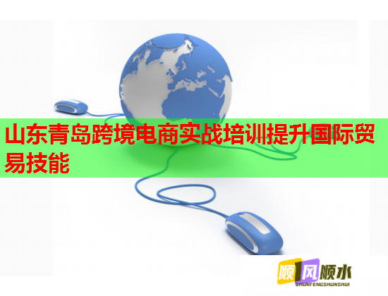 山東青島跨境電商實戰(zhàn)培訓(xùn)提升國際貿(mào)易技能