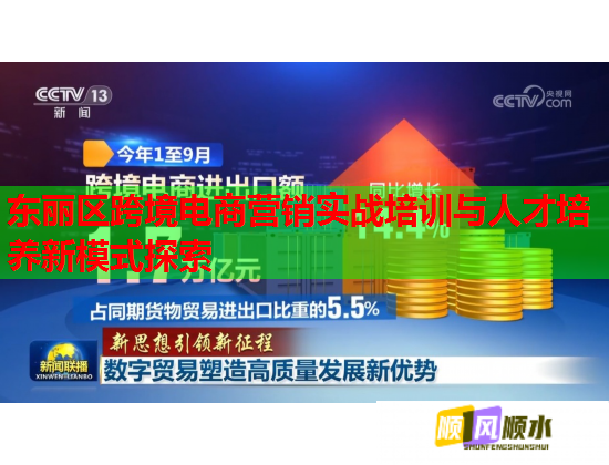 東麗區(qū)跨境電商營銷實(shí)戰(zhàn)培訓(xùn)與人才培養(yǎng)新模式探索