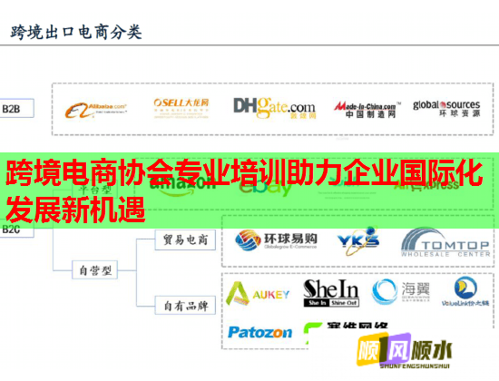 跨境電商協(xié)會專業(yè)培訓助力企業(yè)國際化發(fā)展新機遇