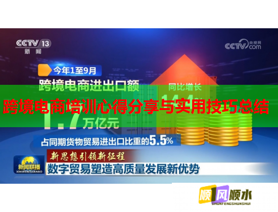 跨境電商培訓(xùn)心得分享與實用技巧總結(jié)