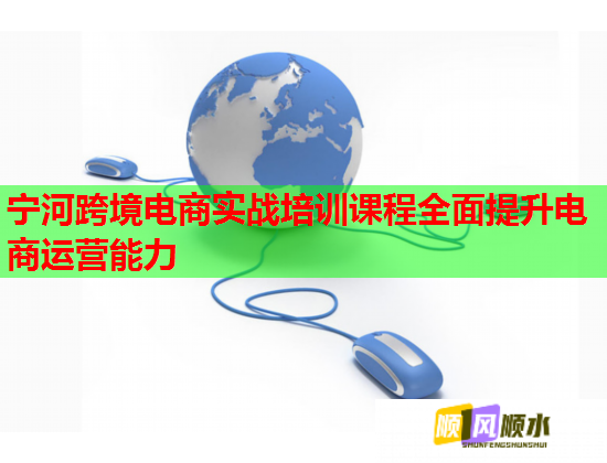 寧河跨境電商實(shí)戰(zhàn)培訓(xùn)課程全面提升電商運(yùn)營(yíng)能力